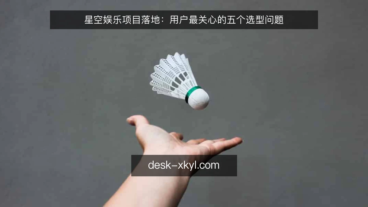 星空娱乐项目落地：用户最关心的五个选型问题