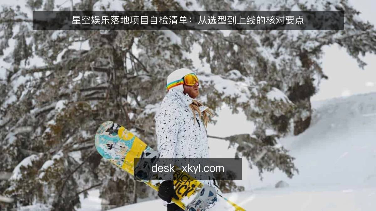 星空娱乐落地项目自检清单：从选型到上线的核对要点