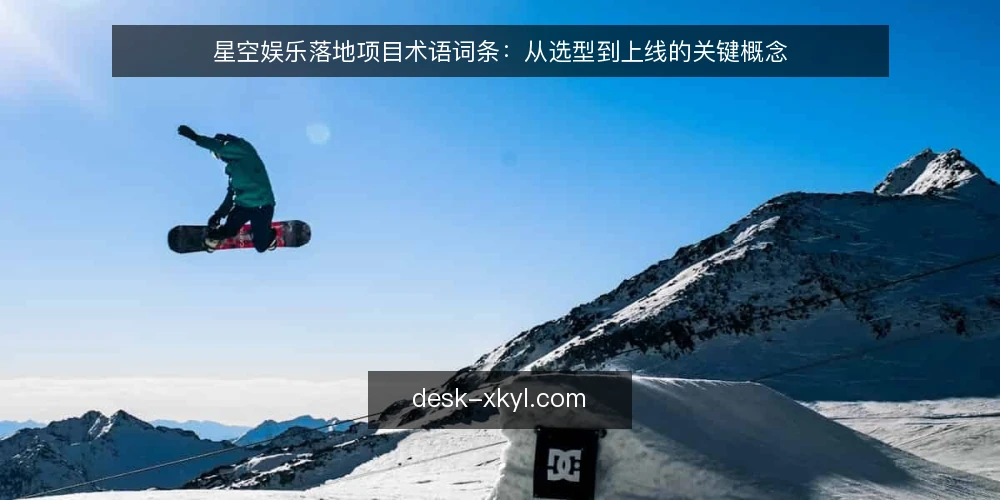 星空娱乐落地项目术语词条：从选型到上线的关键概念 — 星空娱乐落地项目中的核心术语 配图