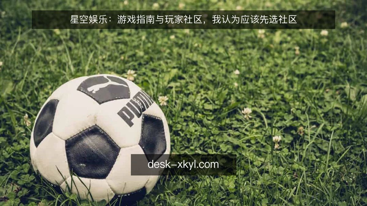 星空娱乐：游戏指南与玩家社区，我认为应该先选社区