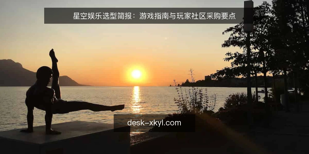 星空娱乐选型简报：游戏指南与玩家社区采购要点 — 需求定义与评测范围 配图